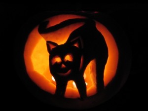 Halloweenkatze_Marion Gonnermann_pixelio.de